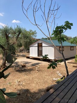 Farma 13.000m2 u moře🇮🇹 - 12