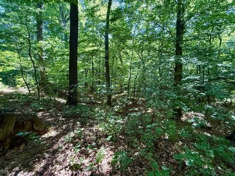 Prodej chaty 25 m², pozemek 521 m² - 12