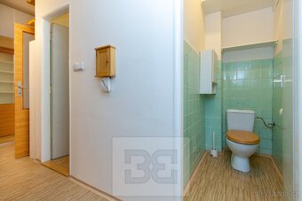 Krasný byt 1+KK s terasou na Břevnově, ev.č. N08022 - 12