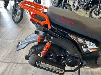 Kentoya Hamster 1254T 2026 - 12