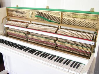 Prodám pianino Scholze - 12