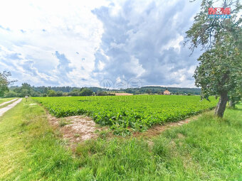 Prodej pozemku k bydlení, 20001 m², Kuks - 12