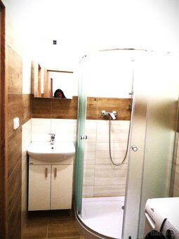 Pronájem bytu 2+1, 62m2, sklep, Bubenská v Holešovicích - 12