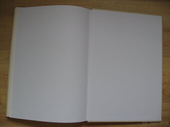 Generál Maurice Pellé - Radko Břach - 12