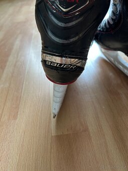 Bauer vapor x2.7 brusle - 12