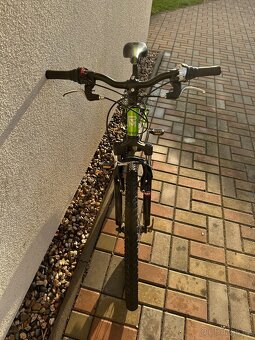 Rock Machine Surge 24” - 12