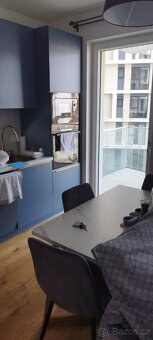 Pronajmu nový, zařízený byt 1kk 42m s terasou - Hagibor - 12