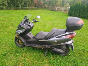 Honda Forza 250 - 12