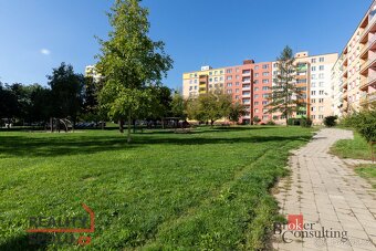 Prodej, byty/3+1, 69 m2, SPC E 477/16, 79401 Krnov, Bruntál  - 12