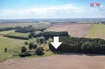 Prodej lesa, 9132 m², Panoší Újezd - 12