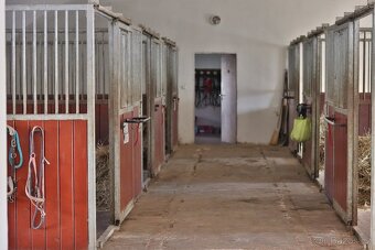 Ustájení koní na Šumavě - 12