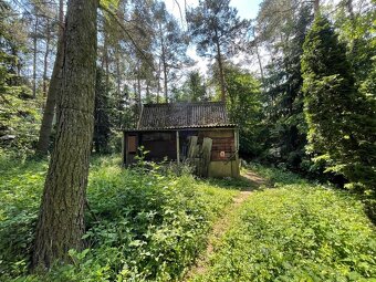 Prodej chaty 40 m², pozemek 300 m² Skuhrov - Hodyně - 12