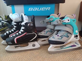 Bauer - 12