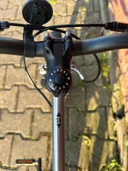Rascal 16" - 12