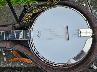 Parohaté elitní banjo Průcha 1990...Staghorn - 12