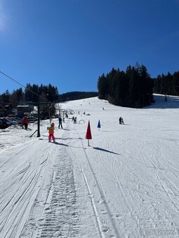 Ubytování v chatě BESKYDY - 12