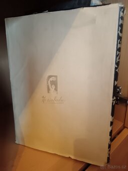 Masarykův slovník sada kompletní a jiné - 12