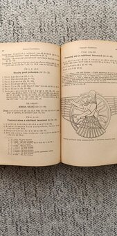 Bible česká - 12