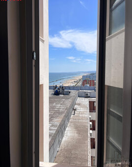 Prodej bytu 1+1 40 m², via Aldo Moro, Montesilvano, Itálie - 12