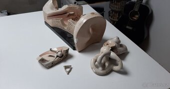 Starožitný model ucha, Bock Steger, cca 1880 - 12