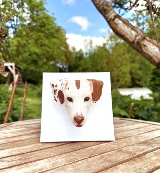 3D fotografie a figurky domácích mazlíčků - 12