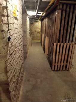 Pronájem bytu Praha Podolí - 12