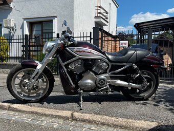 Harley - Davidson, Street Rod ( VR2 ) VRSCR ( dvoubarva ). - 12