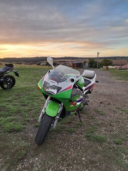 Kawasaki ZXR 400 A2 - 12