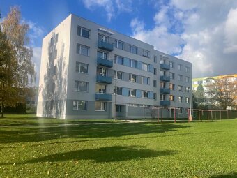 Pronájem bytu 2+1, 60m2 ve Veselí nad Lužnicí - 12