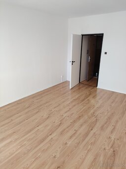 Pronájem bytu 2+1 - 12