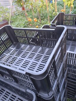 Plastové přepravky E2 červené 600x400x200 - 12