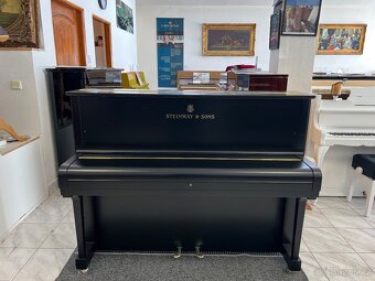 Steinway &Sons se zárukou 2 roky, doprava zdarma. - 12