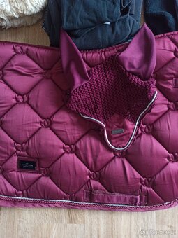 Věci pro koně a jezdce - 12