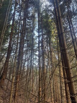 Prodej pozemků k.ú. Huslenky - 12