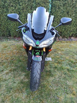 Kawasaki ZX-10R Ninja R.V.2004 - 12