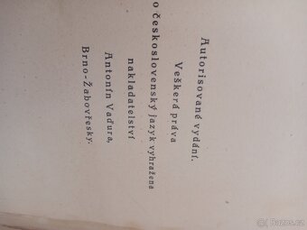 Hrobka Tut-anchamona - 12