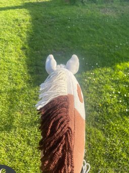 hobby horse - 12