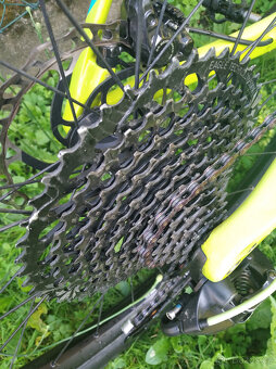 Orbea Alma M30 Carbon L-/Fox/Sram GX Eagle/DT Swiss/ - 12
