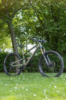 Cannondale Jekyll 1 - 12