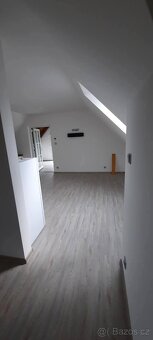 Pronájem bytu v rodinném domě - 12