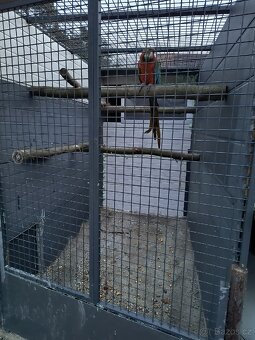 Voliéra na velké Ary - 12