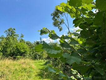 Pozemek se stavbami na okraji vesnice - 12