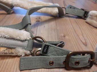 Ohlavka Felix Bühler X Full - 12