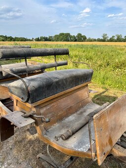 Koňská bryčka - 12