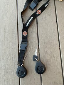Harley Davidson Sportster  XL 1200 NS Iron - 12