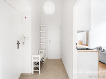 Pronájem bytu 3+1, Plzeňská, Smíchov, 46 m2 - 12