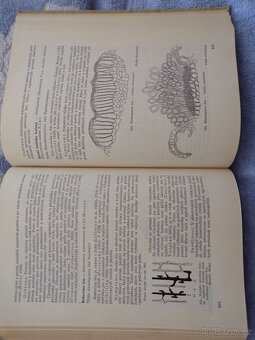 Zemědělská Fytopatologie 1, 2, 3. - 12