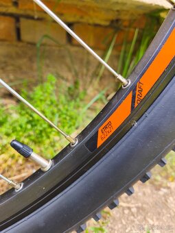 Kellys spider - 12