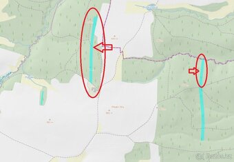 Prodám lesní pozemky v k.ú. Nesměň u Ločenic - 12