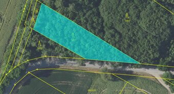 Prodám lesní pozemky v k.ú. Vlašim - 12